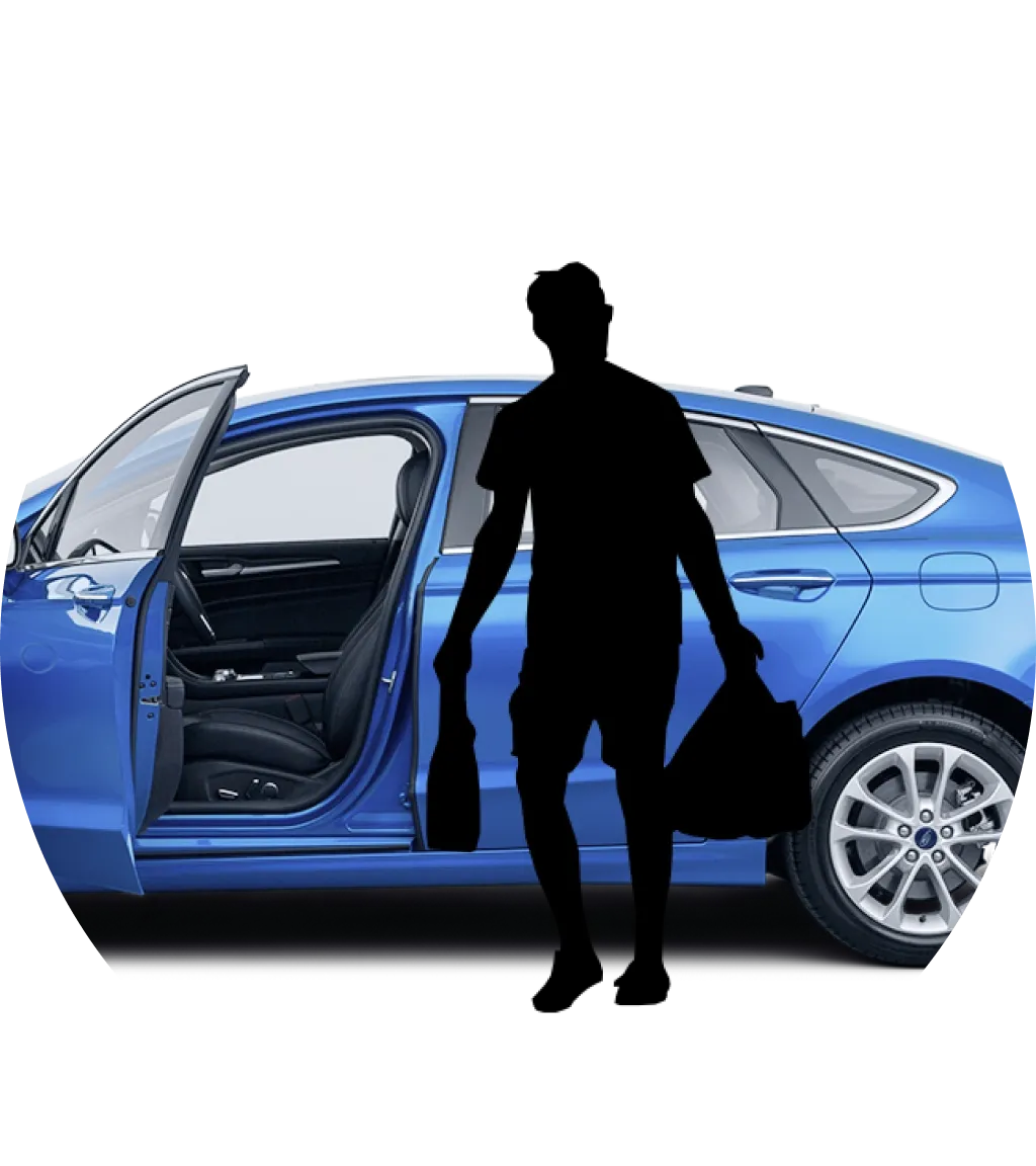 Header image of the Fordy project